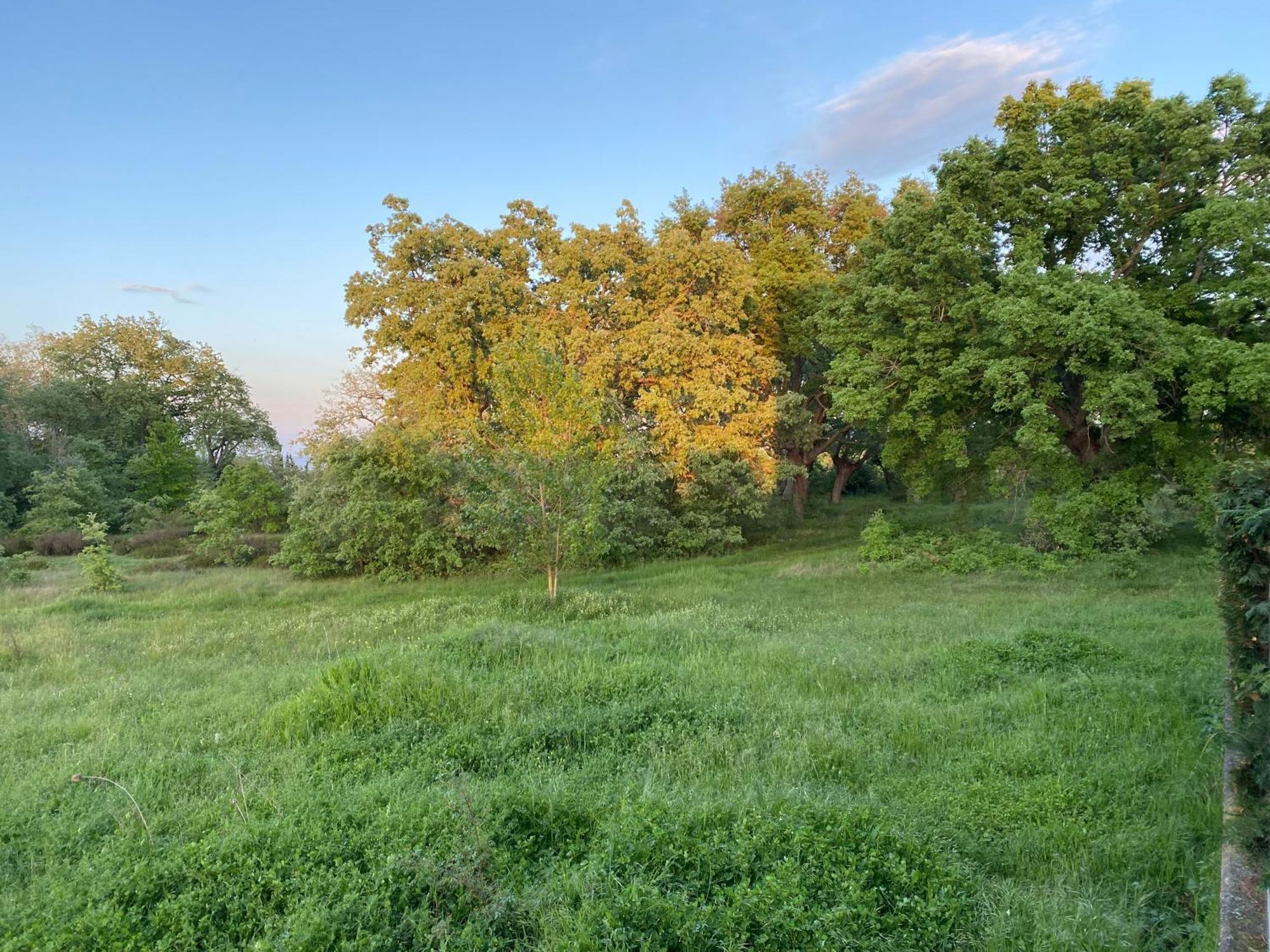 Apartamento El Robledal Cirueña Zewnętrze zdjęcie